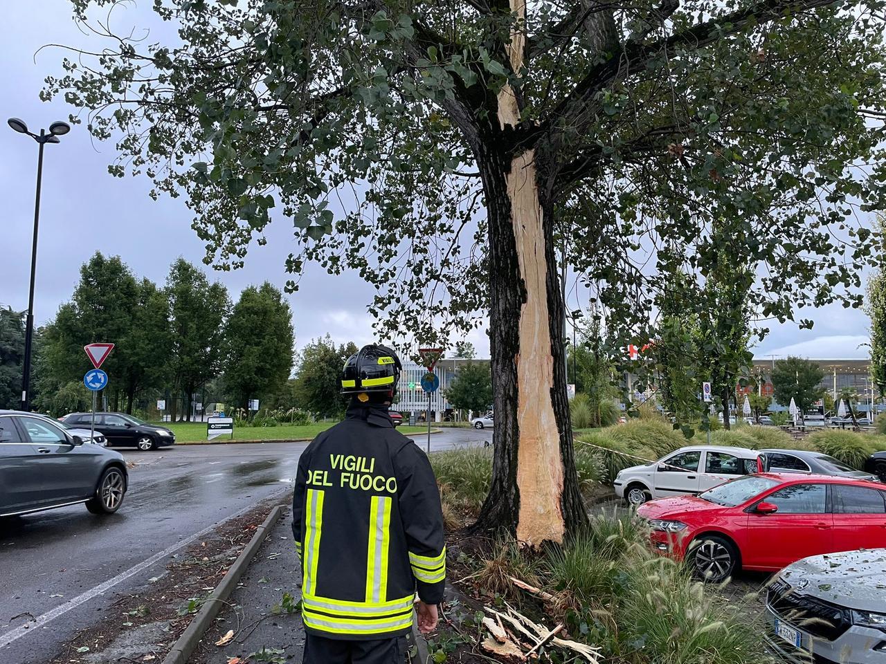 Maltempo, un fulmine centra un albero nei pressi dell’Ipercoop di Baragalla