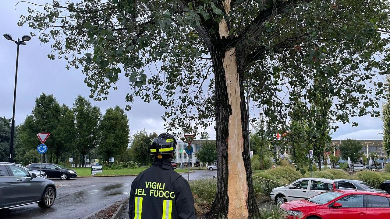 Maltempo, un fulmine centra un albero nei pressi dell’Ipercoop di Baragalla