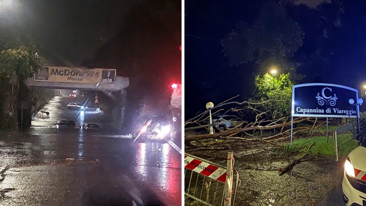 
	Allagamenti a Massa (foto Eugenio Giani), alberi sulle auto in Versilia

