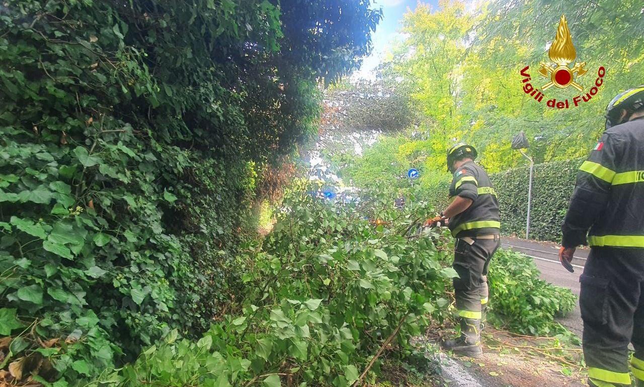 
	Un intervento dei vigili del fuoco

