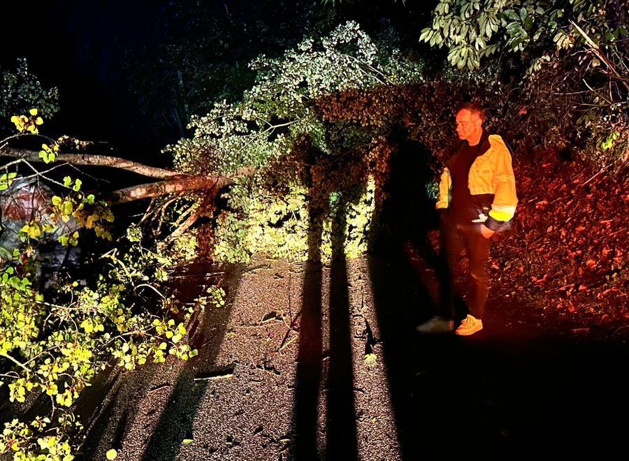 
	Un albero caduto nel comune di Fivizzano

