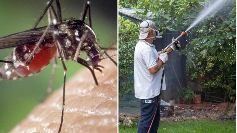 Chikungunya, i casi salgono a 80