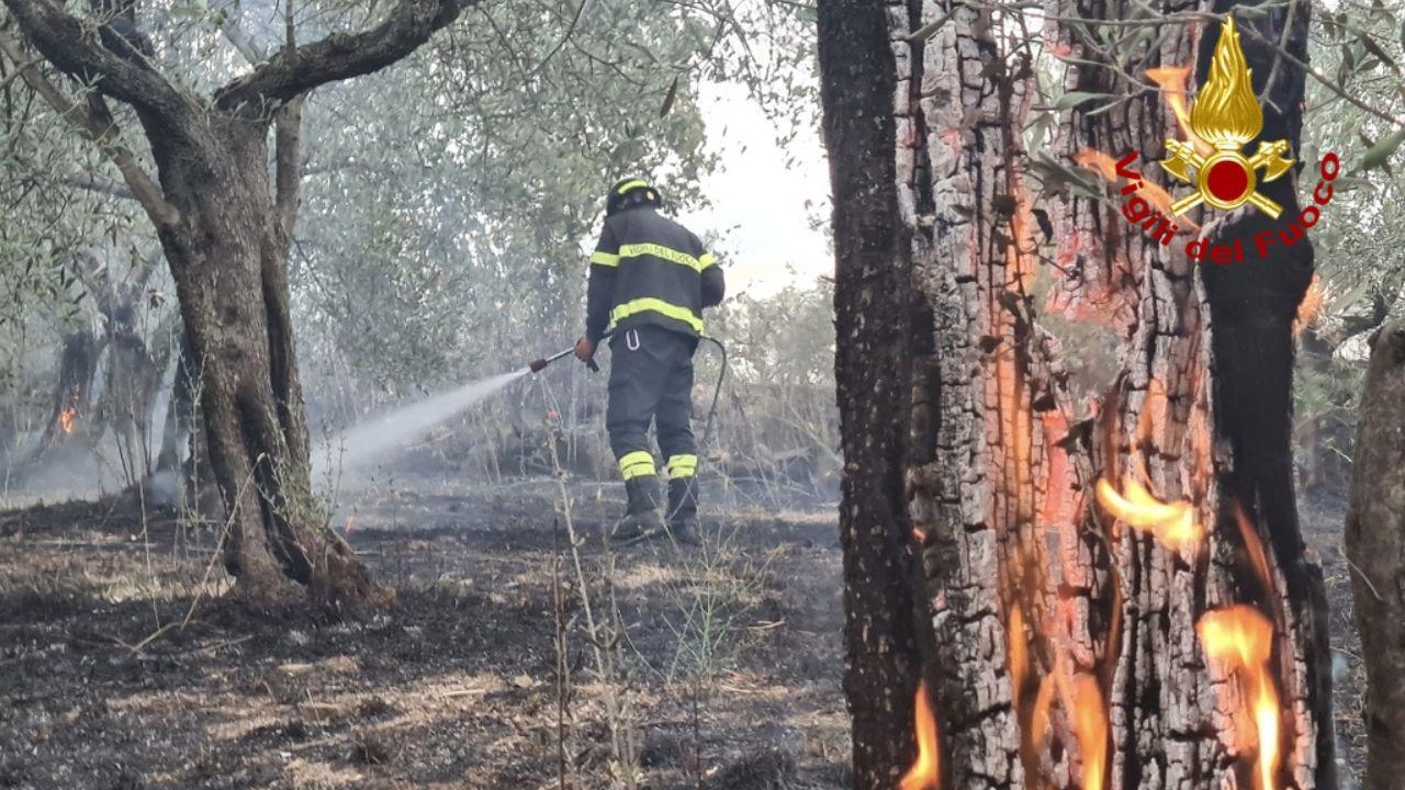 
	Un'immagine dell'incendio

