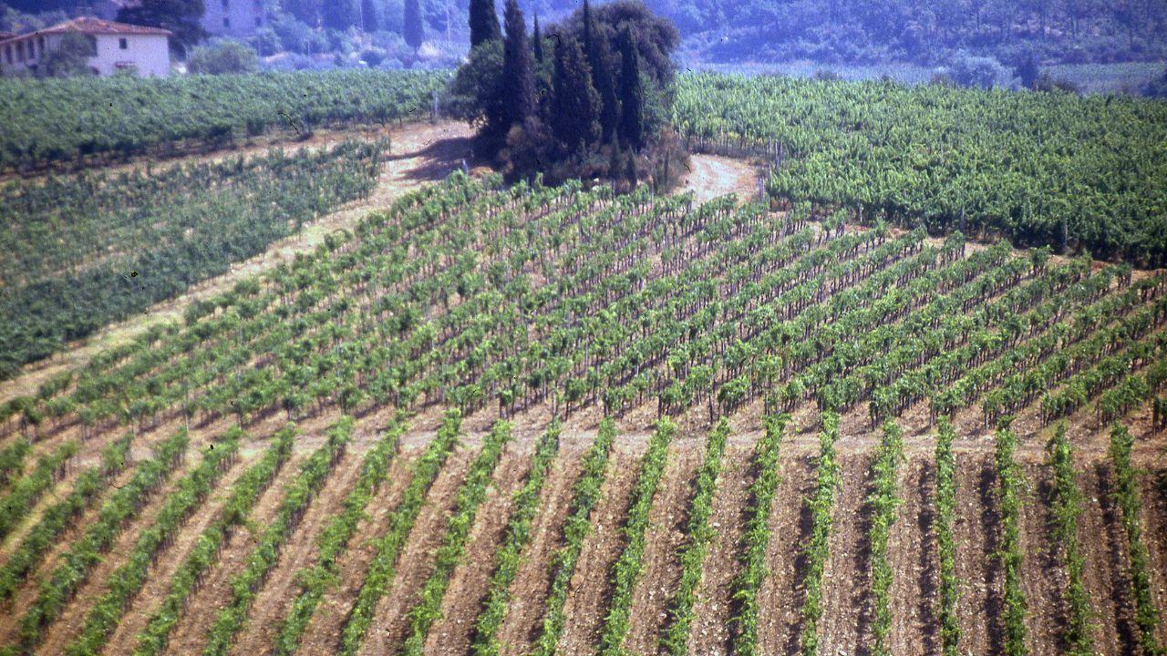 Secondo lo studio in molti scelgono gli agriturismi