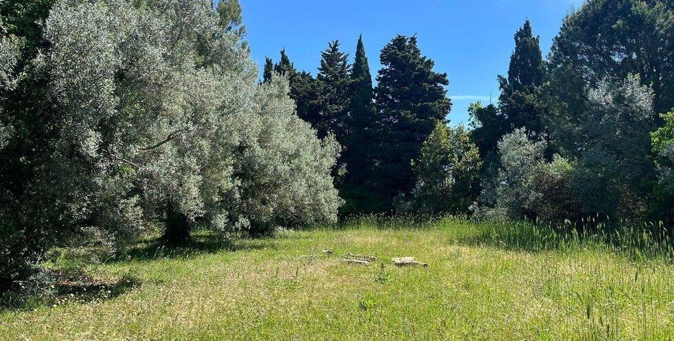Rosignano, accordo Unicoop-Comune: il campo di calcio sarà spostato<br>

