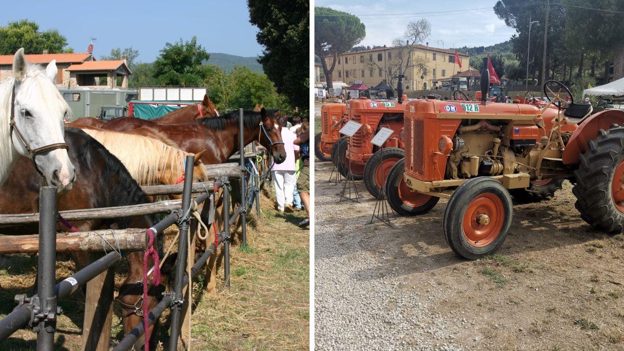 
	Due momenti della Fiera

