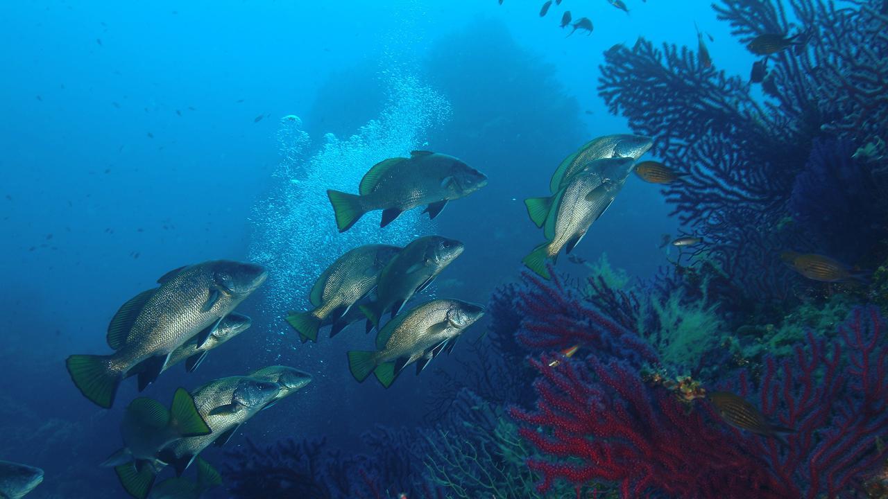 Gli studiosi dell’Imc super specialisti della Blue economy