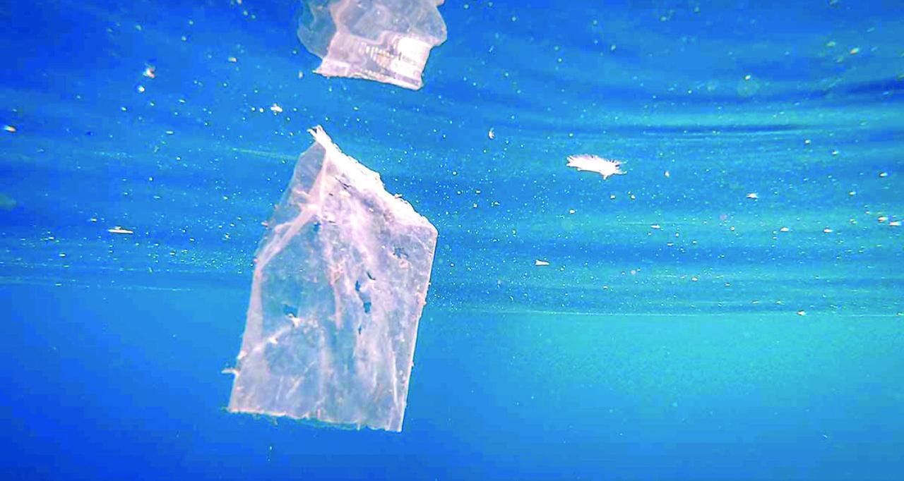 Adriatico da salvare: «Il Po scarica 145 tonnellate di plastica all’anno in mare»