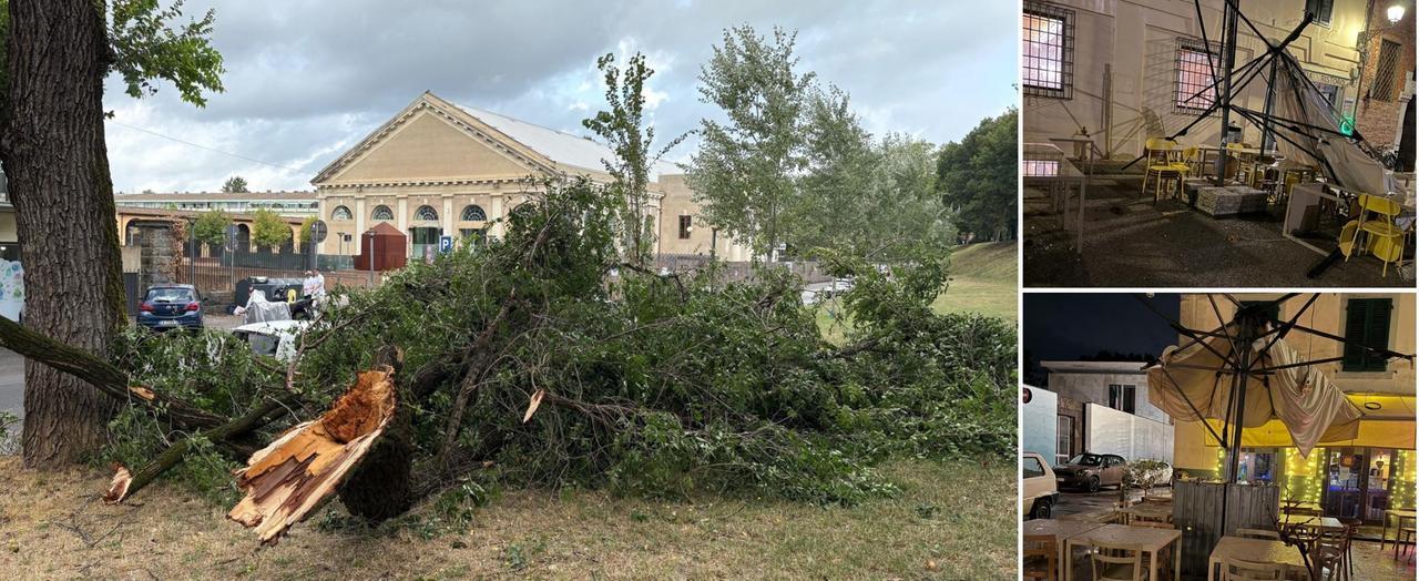 Maltempo a Lucca, danni in centro città: alberi caduti e tende distrutte – Video