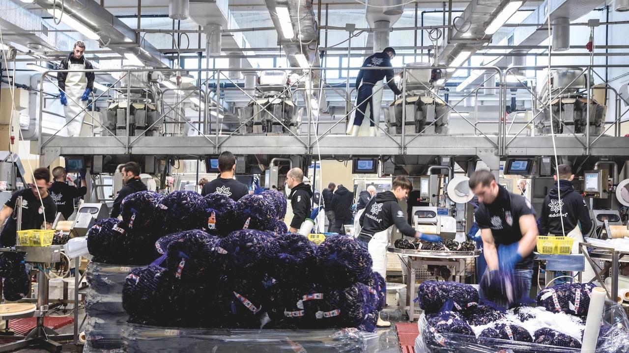 Ricerca e laboratorio le nuove frontiere dell’acquacoltura