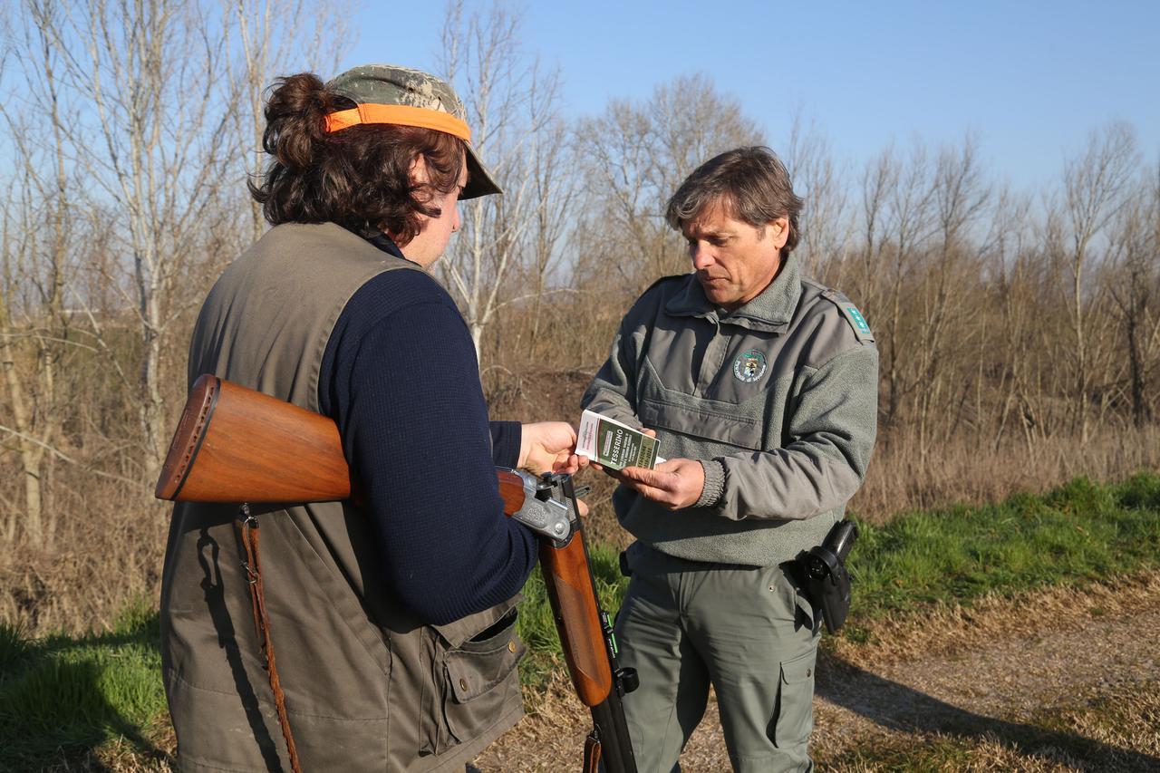 La caccia parte prima per la peste suina: tre sanzioni su cento controlli a Modena