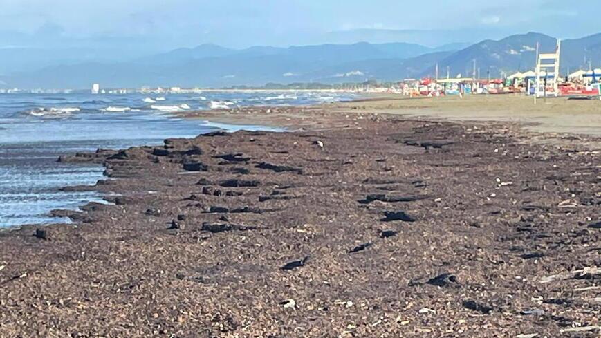 Il lavarone a Marina di Pietrasanta