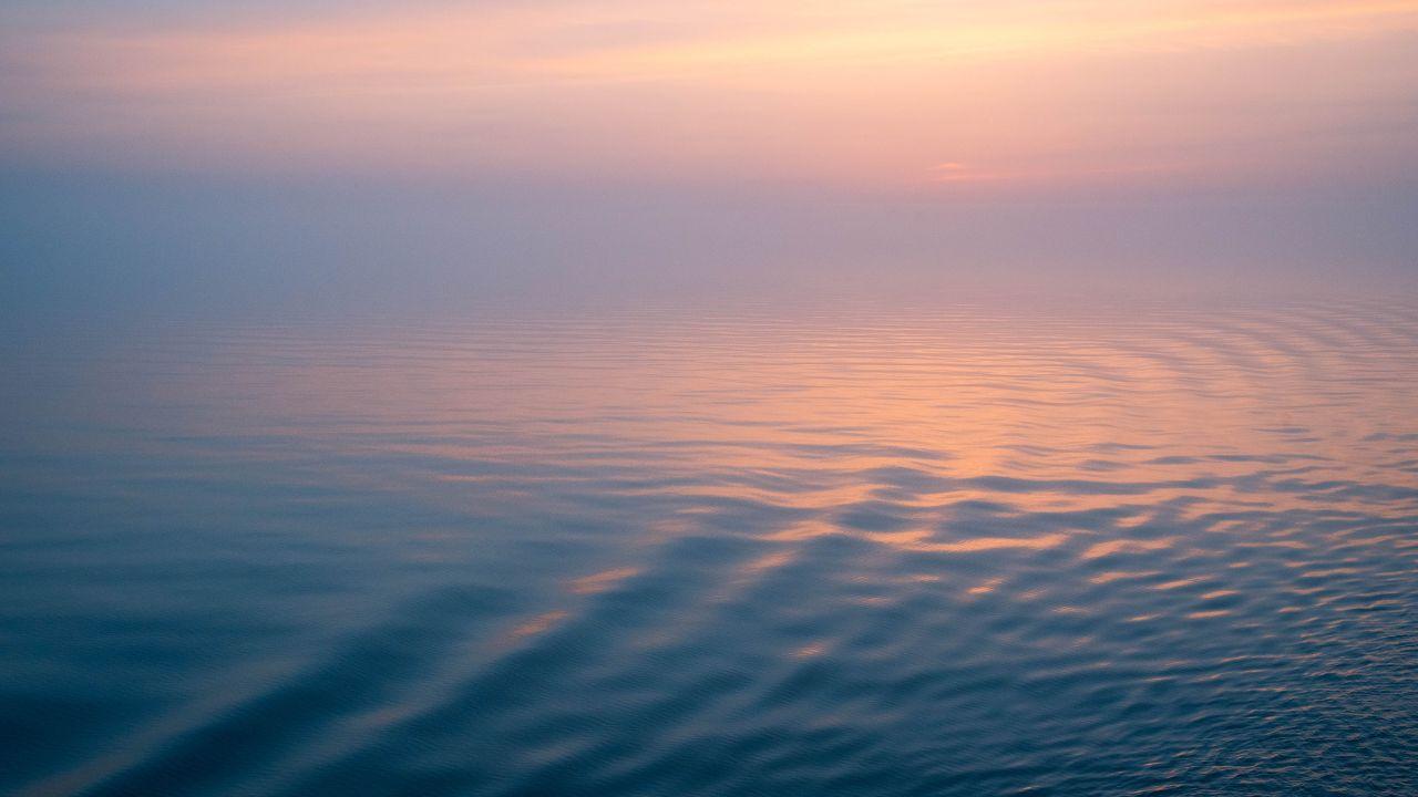 
	Divieto di balneazione a Livorno

