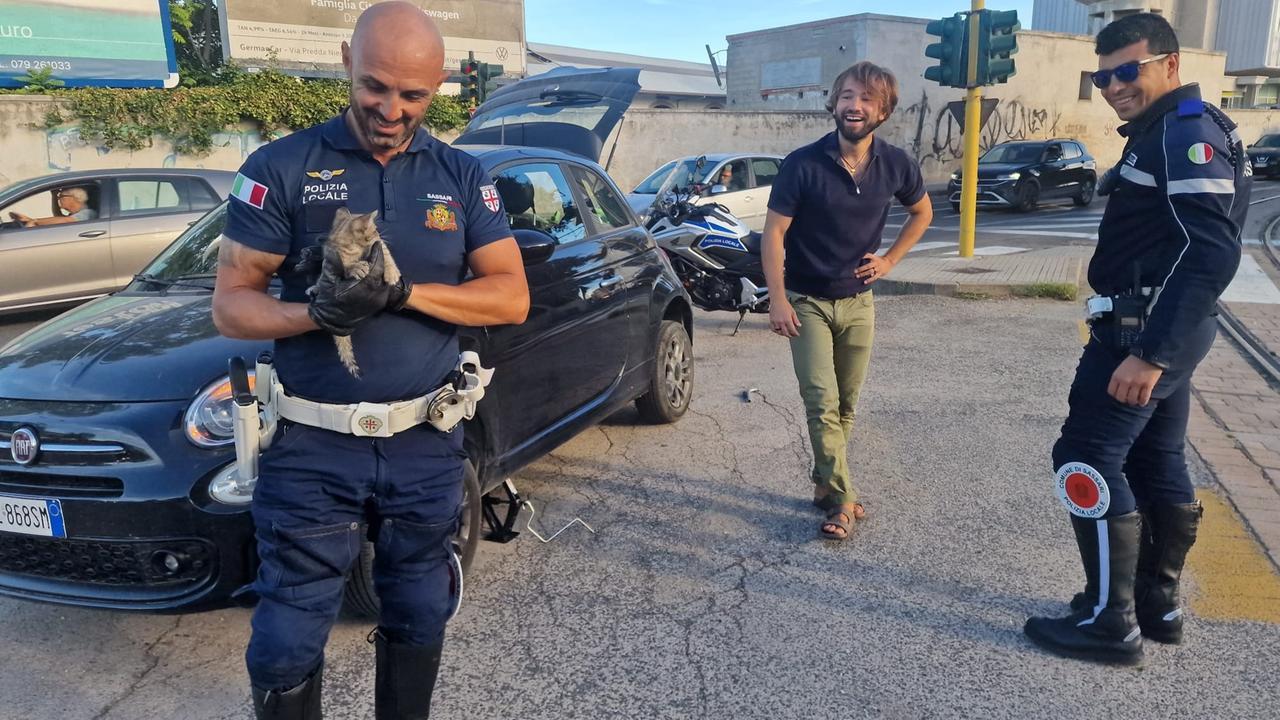 La polizia locale di Sassari salva un gattino e gli trova casa