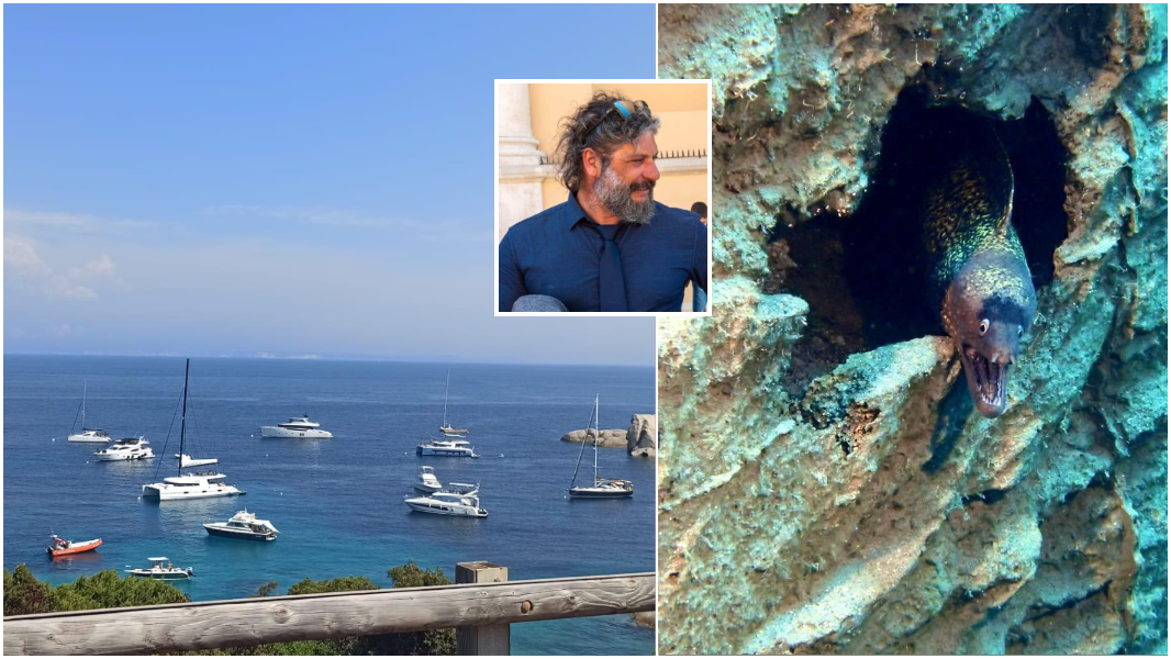 
	Boe a Cala Spinosa, il direttore Yuri Donno e una murena nella boa con&nbsp;corpo vivo

