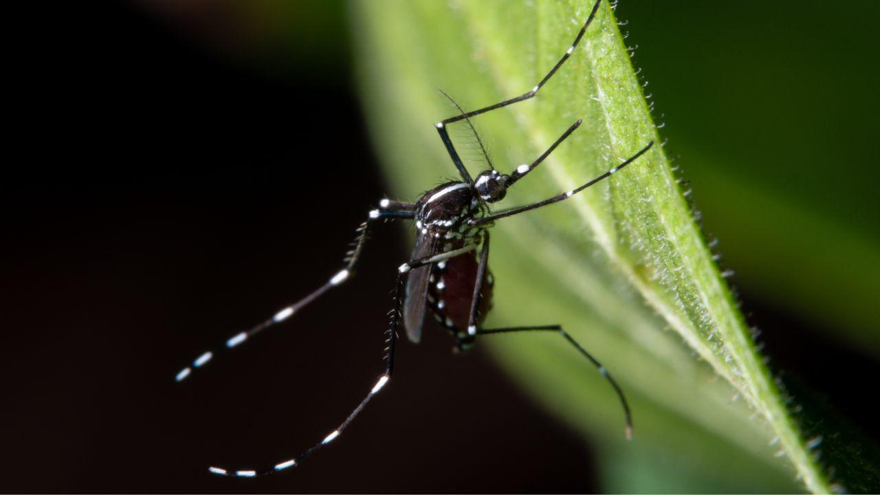 (foto di repertorio)