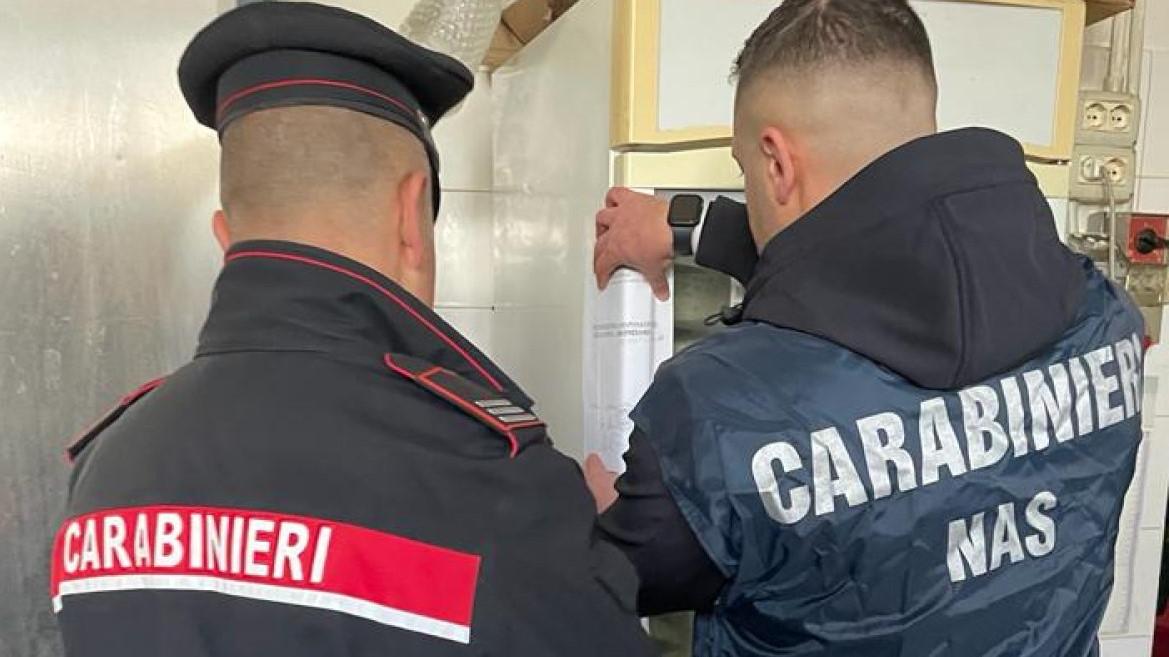 Pontedera, blatte vive e morte in cucina: i Nas chiudono un fast food