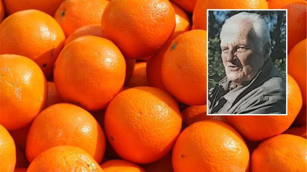 È morto il più grande produttore di agrumi del Sarrabus: ecco chi era