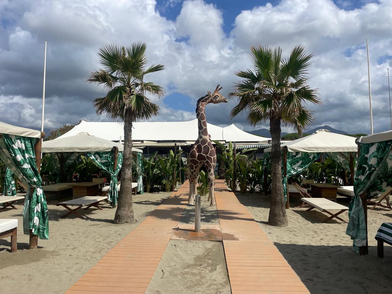 
	L'ingresso del Twiga

