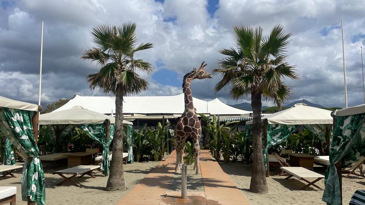 L'ingresso del Twiga