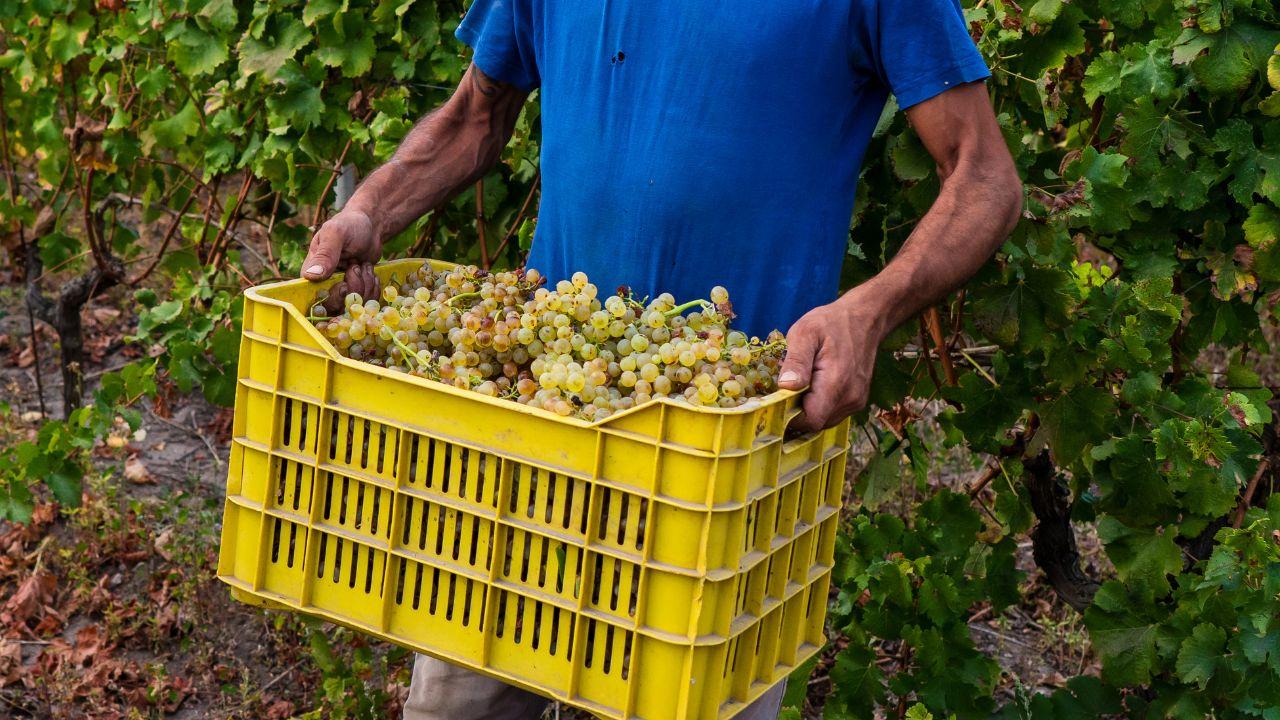 
	Controlli in Toscana (Foto di repertorio)

