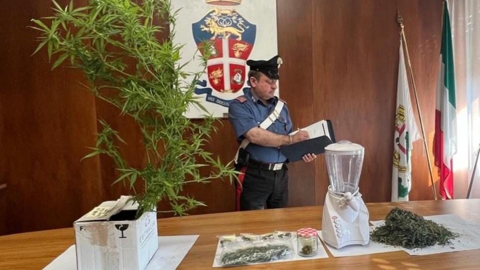 Al bar con le dosi di marijuana da spacciare, arrestato dai carabinieri