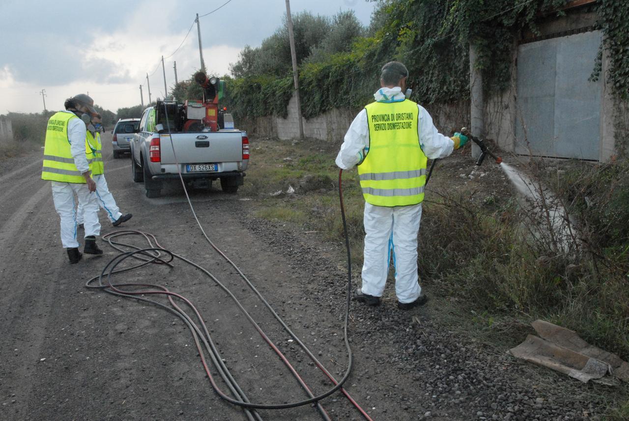 Febbre del Nilo, salgono a 17 i casi di positività al virus nell’Oristanese