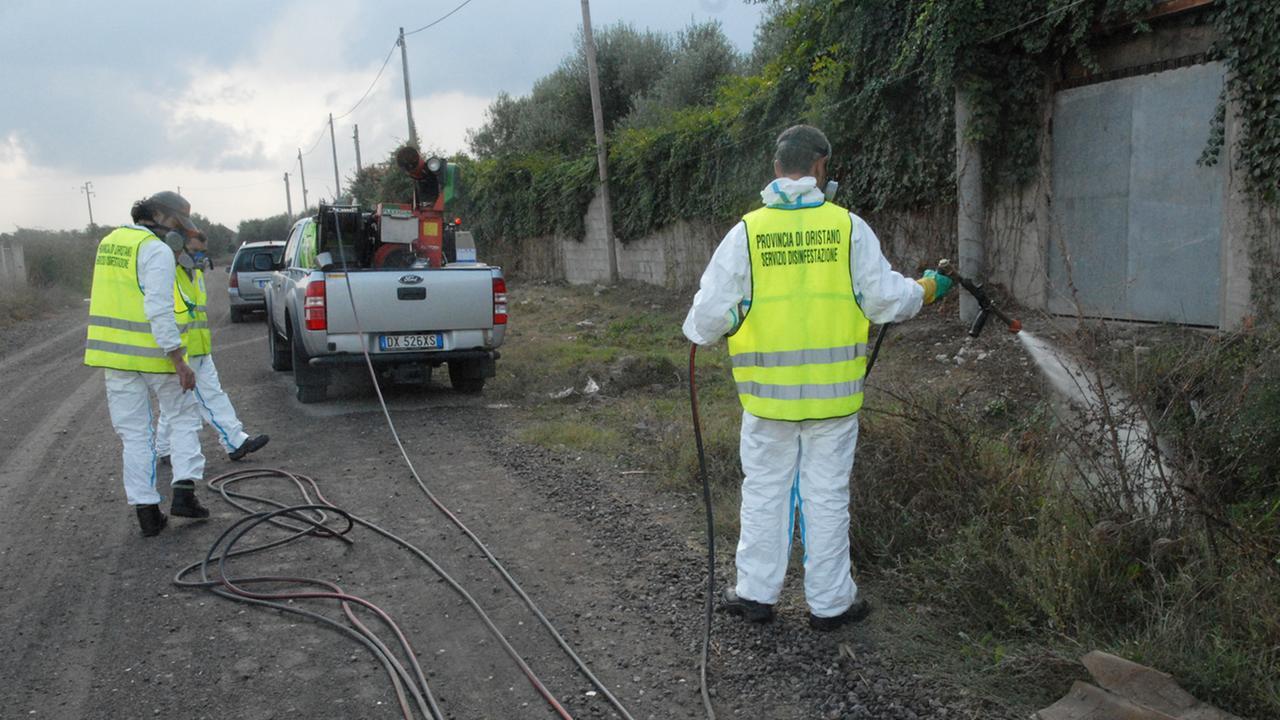 Febbre del Nilo, salgono a 17 i casi di positività al virus nell’Oristanese