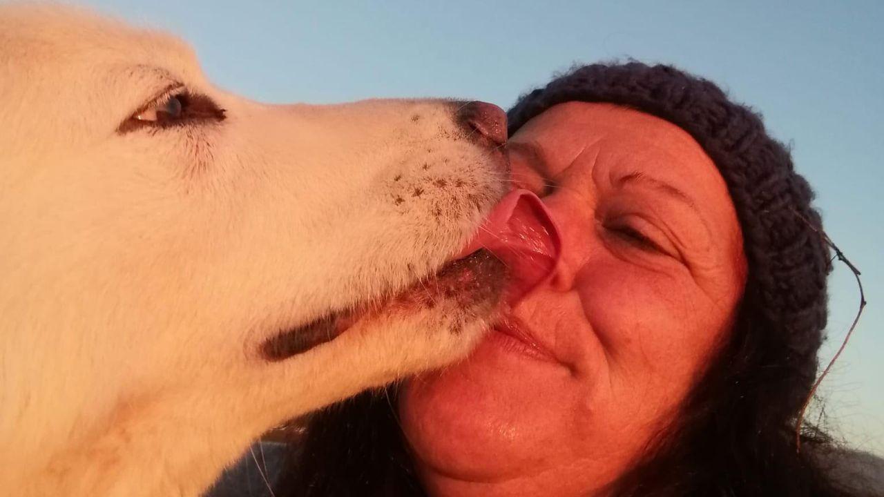 Viareggio, muore a 51 anni animalista ed ex guardia zoofila