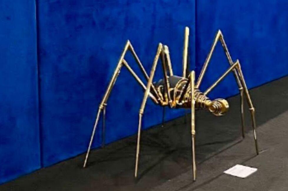 
	L'opera d'arte danneggiata

