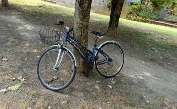 Lucca, operazione decoro: rimosse 27 biciclette abbandonate in centro