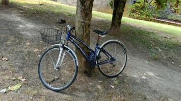 Lucca, operazione decoro: rimosse 27 biciclette abbandonate in centro