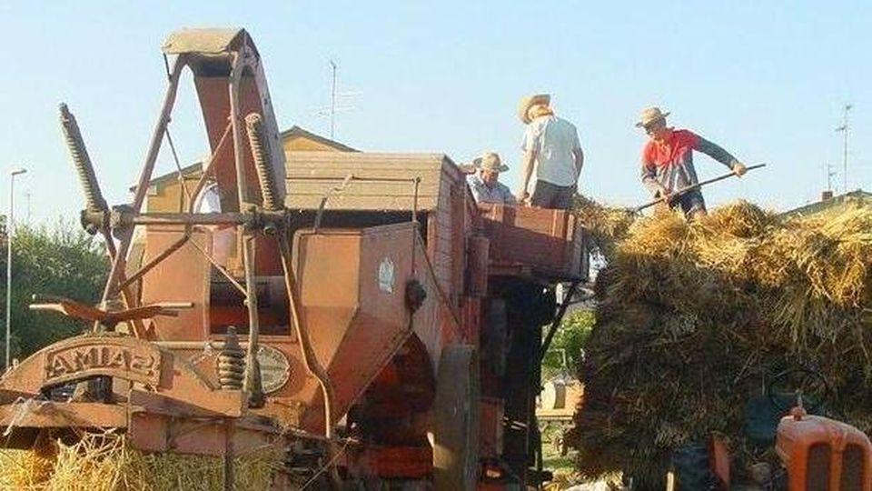 Undicesima edizione della festa dell’aratura domani e domenica
a Levizzano di Baiso nell’area sportiva della Piola