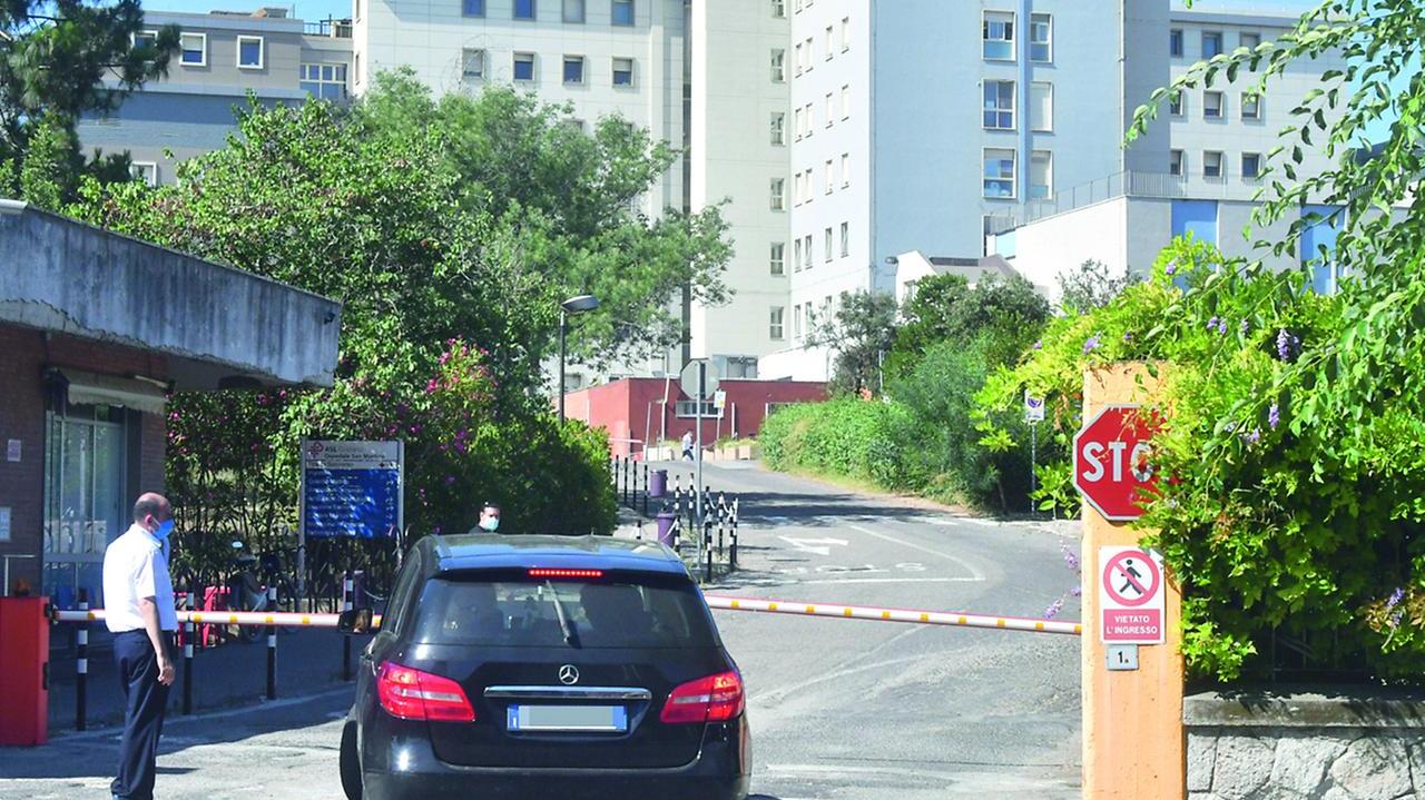 West Nile c’è la prima vittima: è un ex allevatore di 91 anni