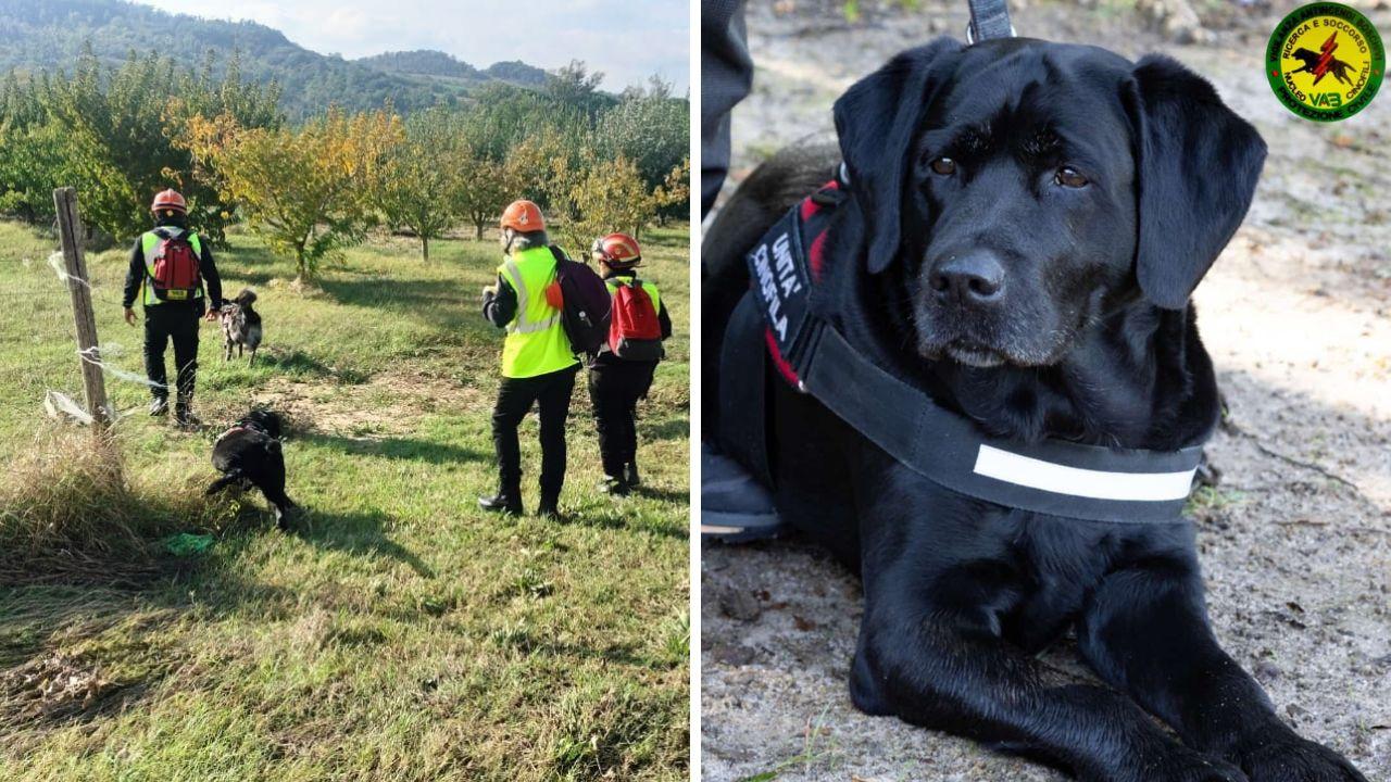Tea e a lato la cagnolina in azione
