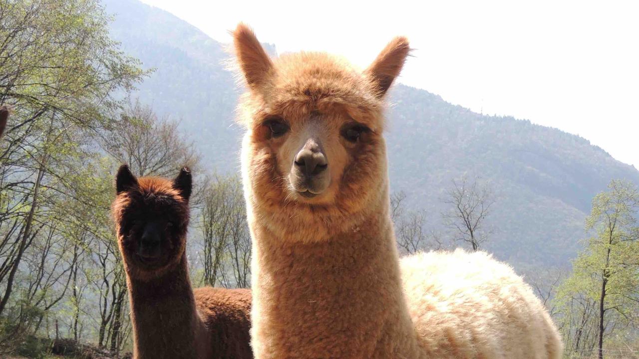 Le campagne toscane (quasi) come le Ande