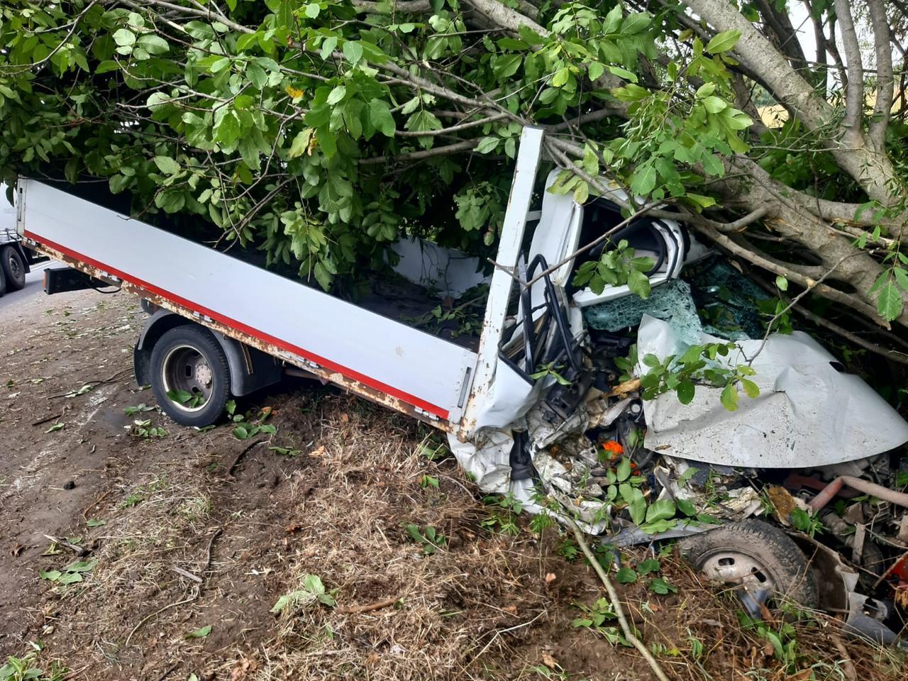 Schianto lungo la Cispadana: 22enne sbanda e finisce contro un albero