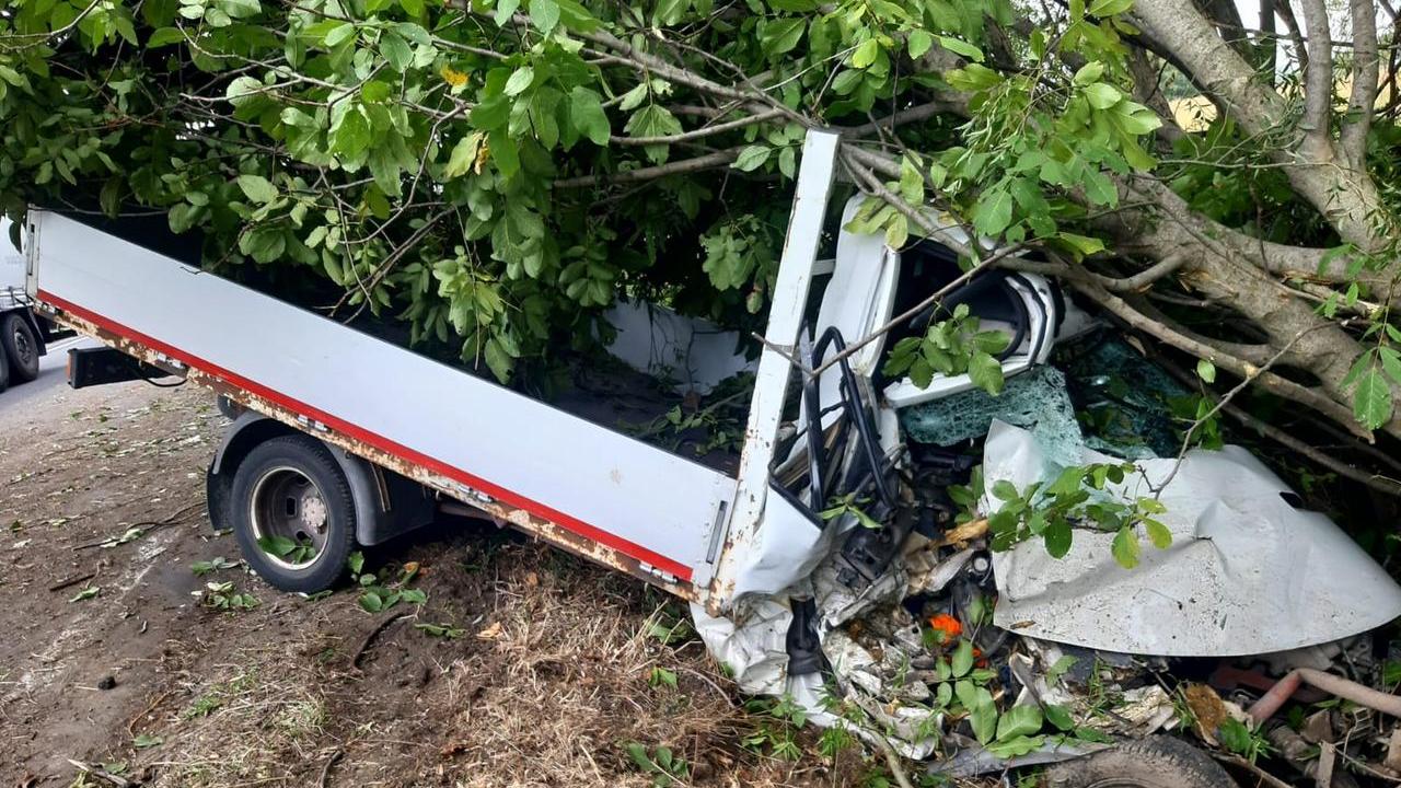 Schianto lungo la Cispadana: 22enne sbanda e finisce contro un albero