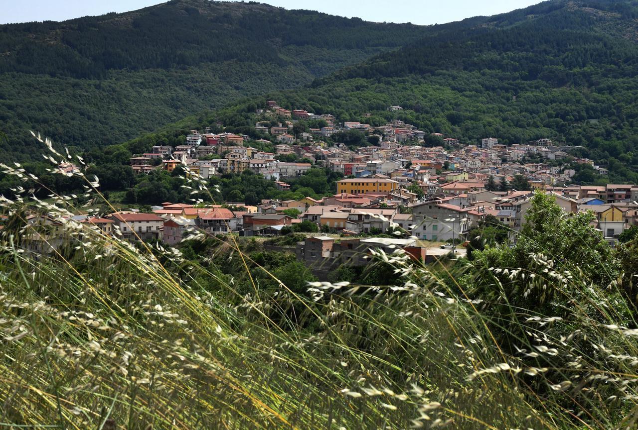 
	Un'immagine di Tonara

