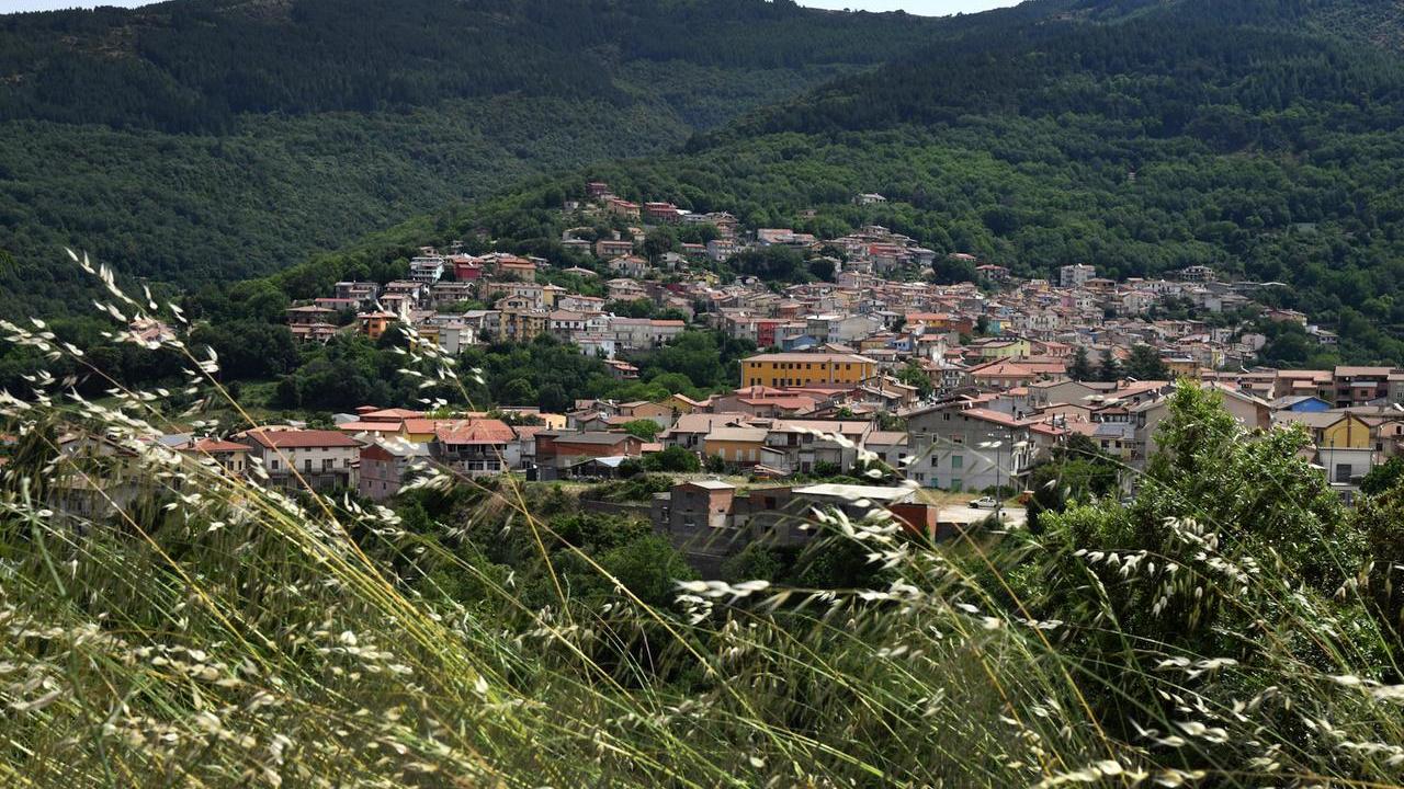 Un'immagine di Tonara