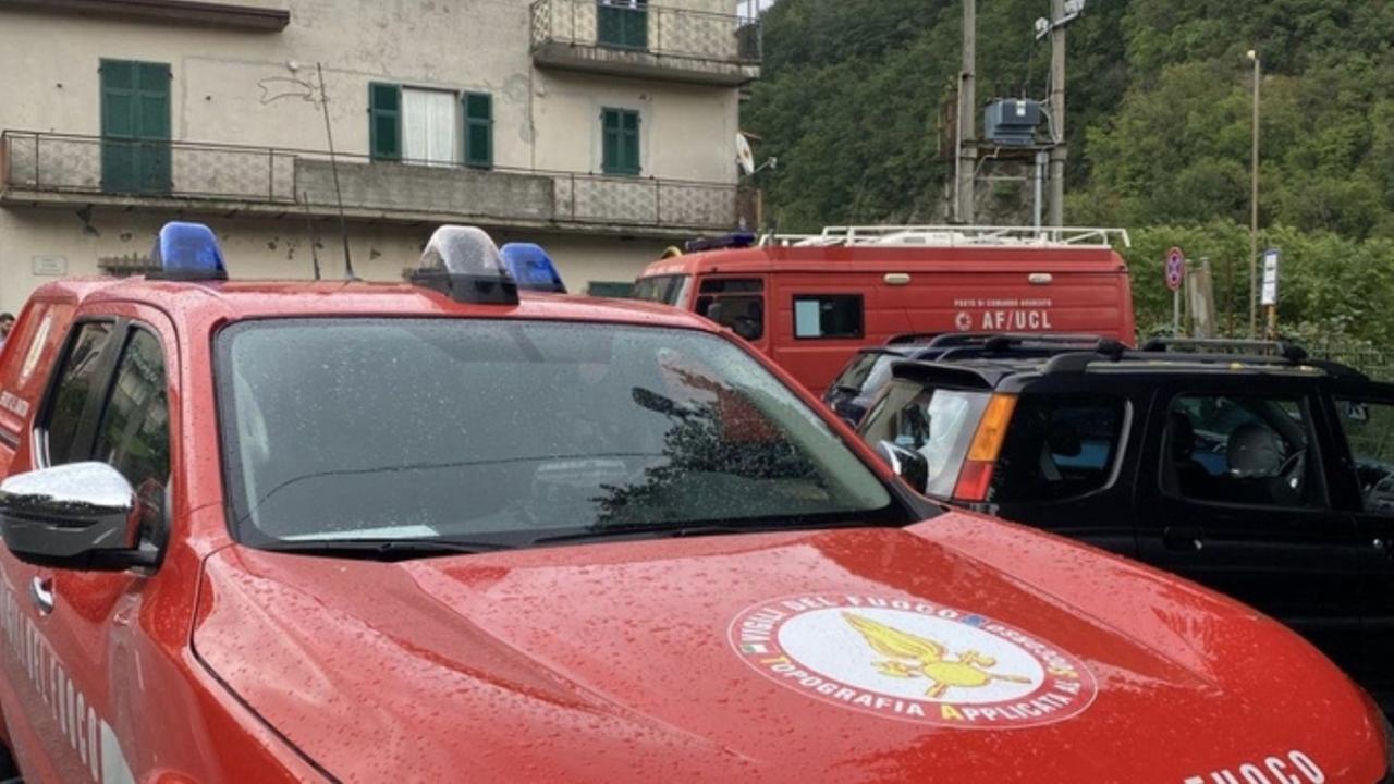 
	Fungaiolo disperso in Lunigiana

