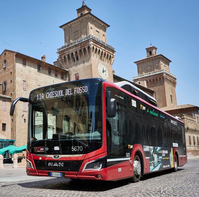Ferrara, trasporto scolastico: nuovi orari per gli autobus. Ami e Tper: «Nelle prime settimane possibili disagi»