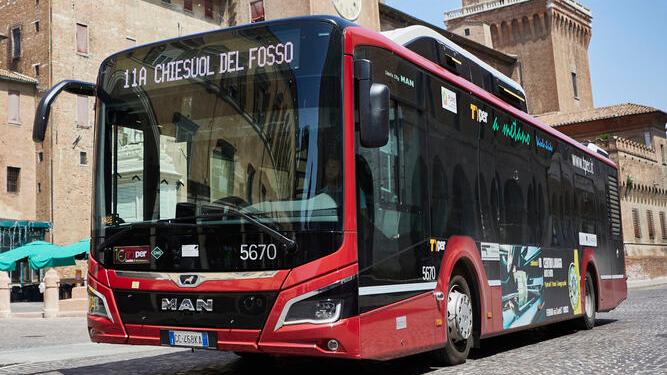 Ferrara, trasporto scolastico: nuovi orari per gli autobus. Ami e Tper: «Nelle prime settimane possibili disagi»
