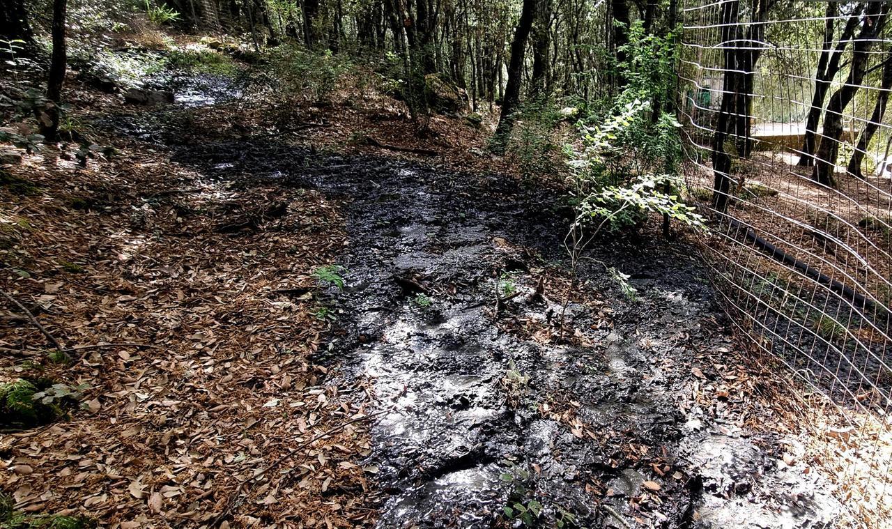 Monte Ortobene, emergenza liquami. «Serve una nuova condotta»