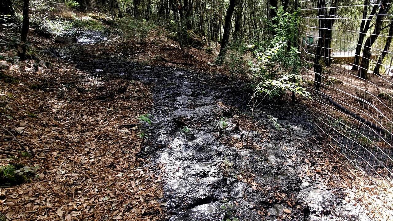 Monte Ortobene, emergenza liquami. «Serve una nuova condotta»