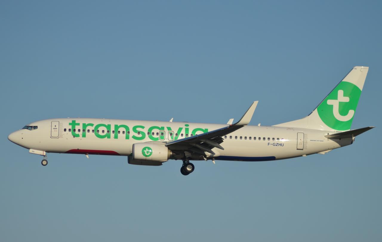 Transavia investe sul nord Sardegna: nuovi voli per Amsterdam e Eindhoven