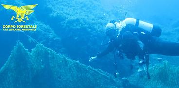 Dentici e cicale di mare intrappolati in una rete abbandonata e  recuperata dalla Forestale
