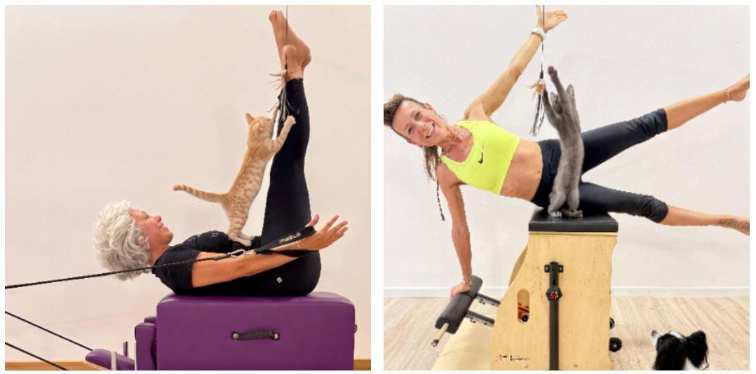 A lezione di pilates con due gatti e la cagnolina Katy: accade nella palestra di Annalisa e Cecilia