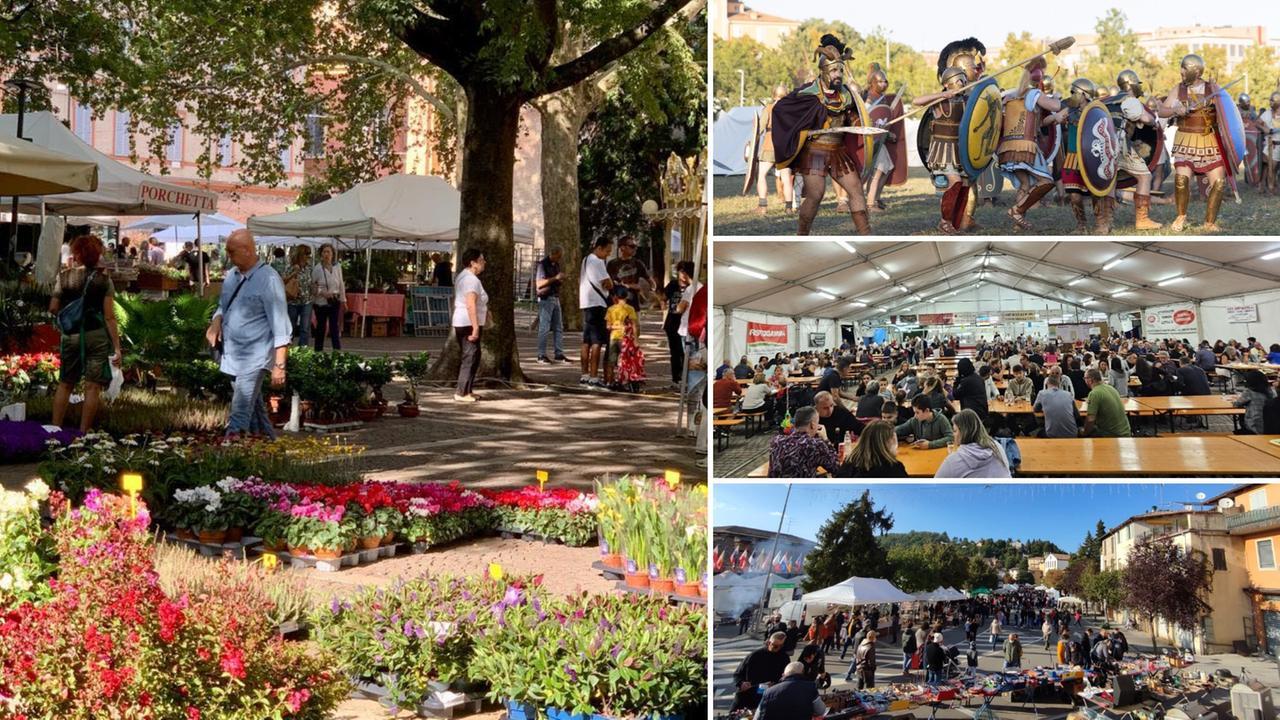 Mutina Boica, Arkadia e Modena in Fiore, Festa del Lambrusco a Sorbara e della Patata a Montese: la guida al weekend