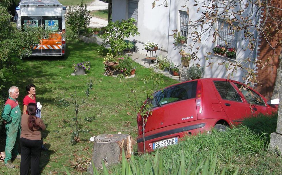 Una cimice lo distrae e finisce contro un albero